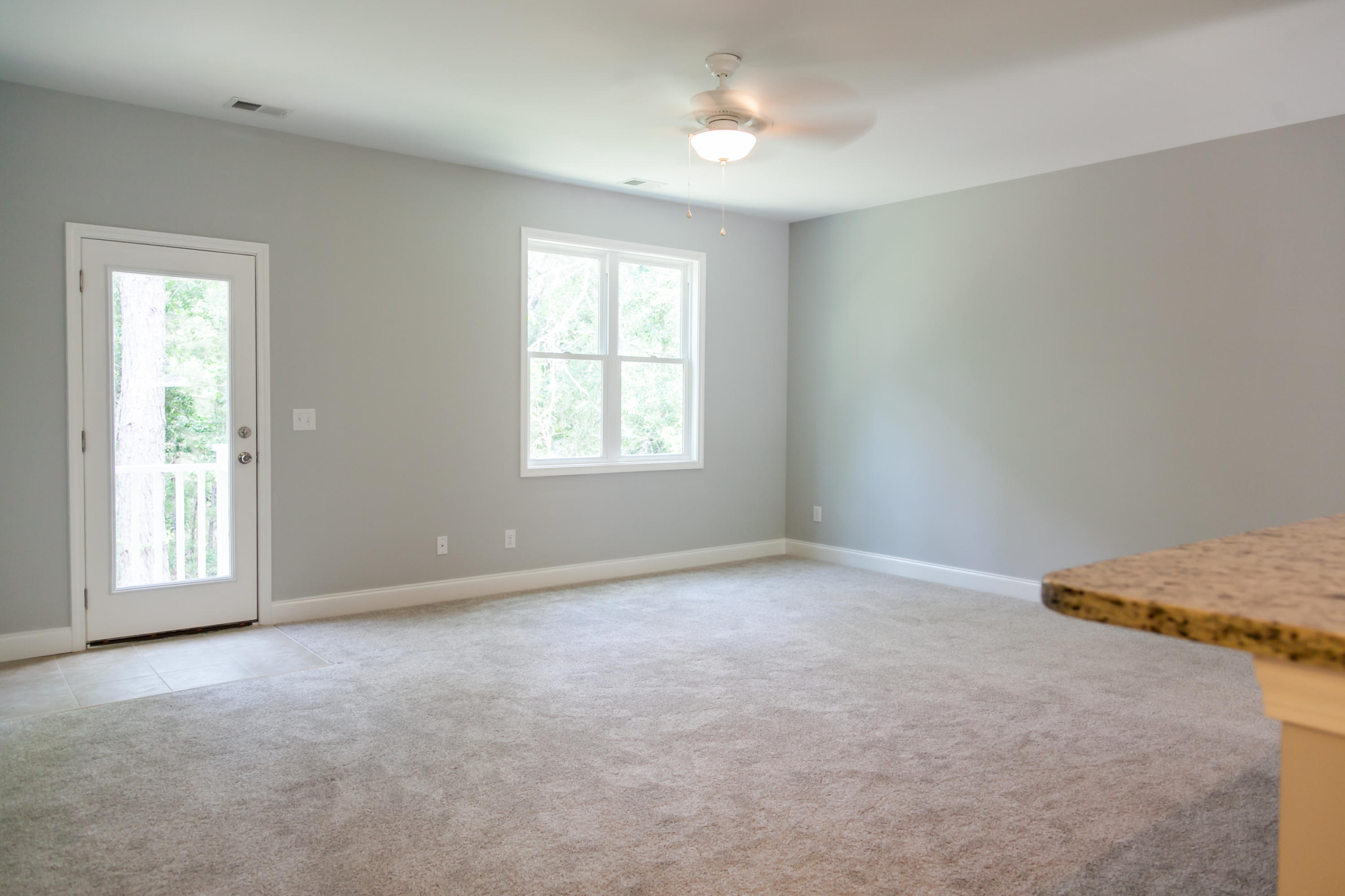 948 Beehive Road Awendaw, SC 29429 - Photo 14 of 27 untitled-14