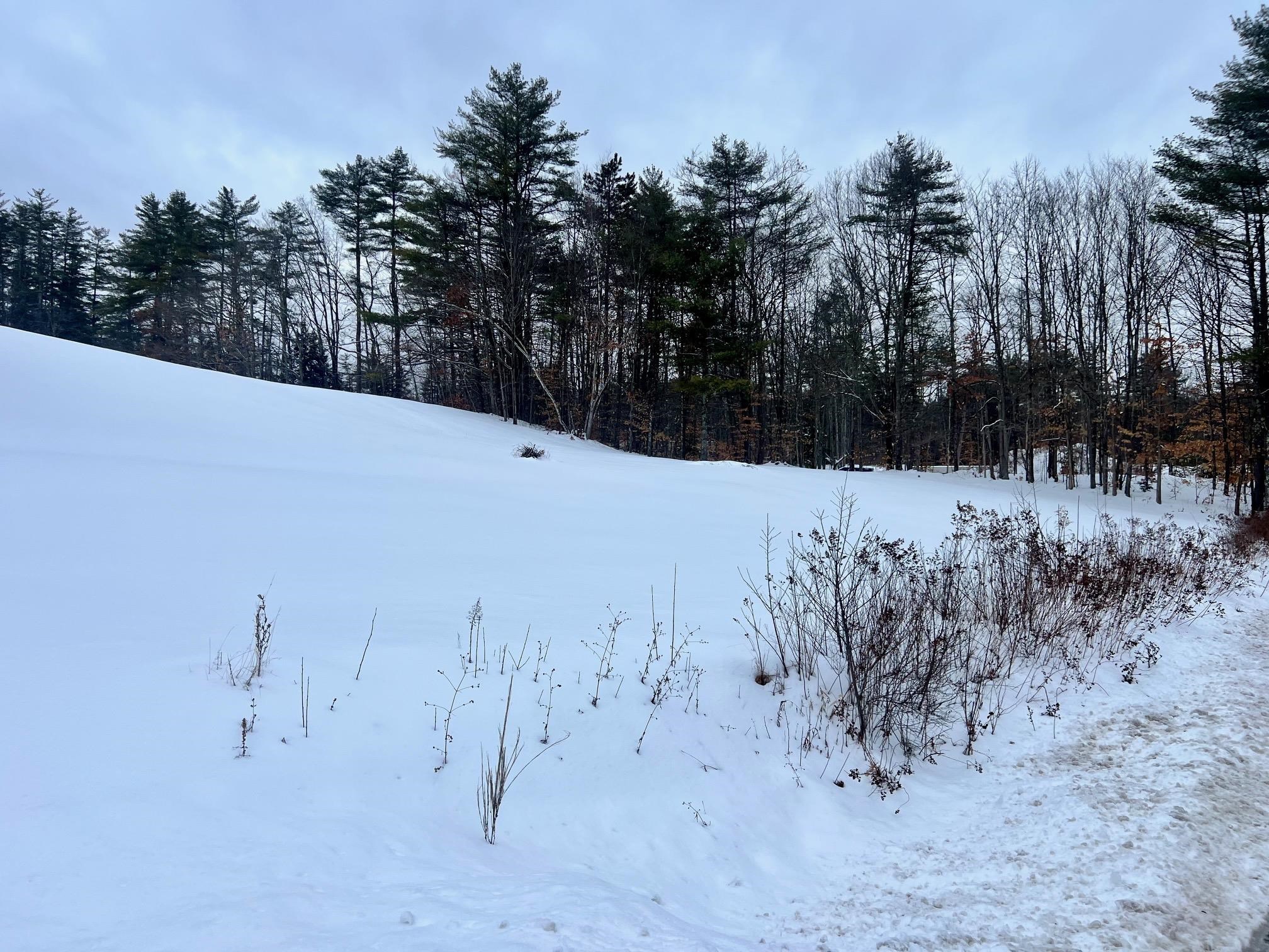 200 Walker Road Alexandria, NH 03222 - Photo 13 of 17