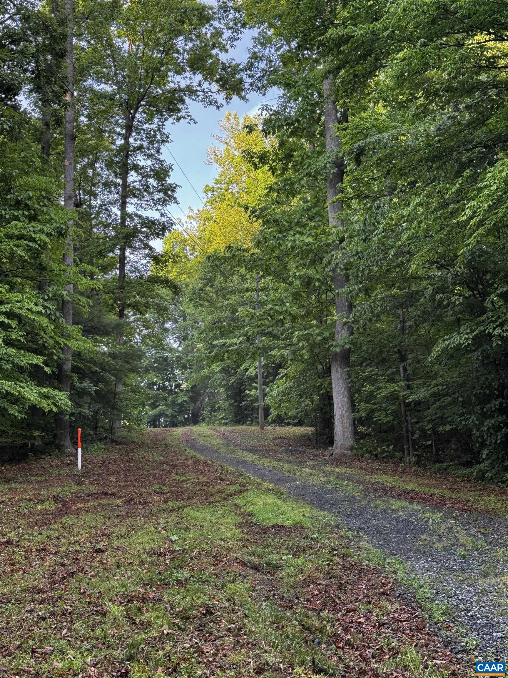 0 Fredericksburg Road Ruckersville, VA 22968 - Photo 4 of 11