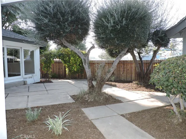 a view of a yard with plants and a tree