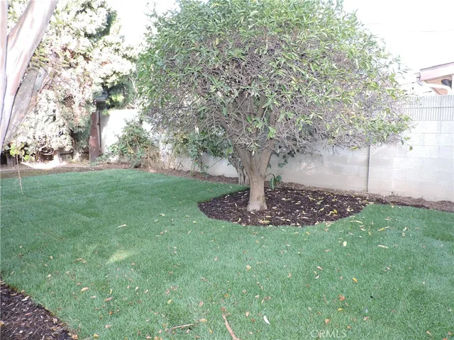 a view of a garden with a tree