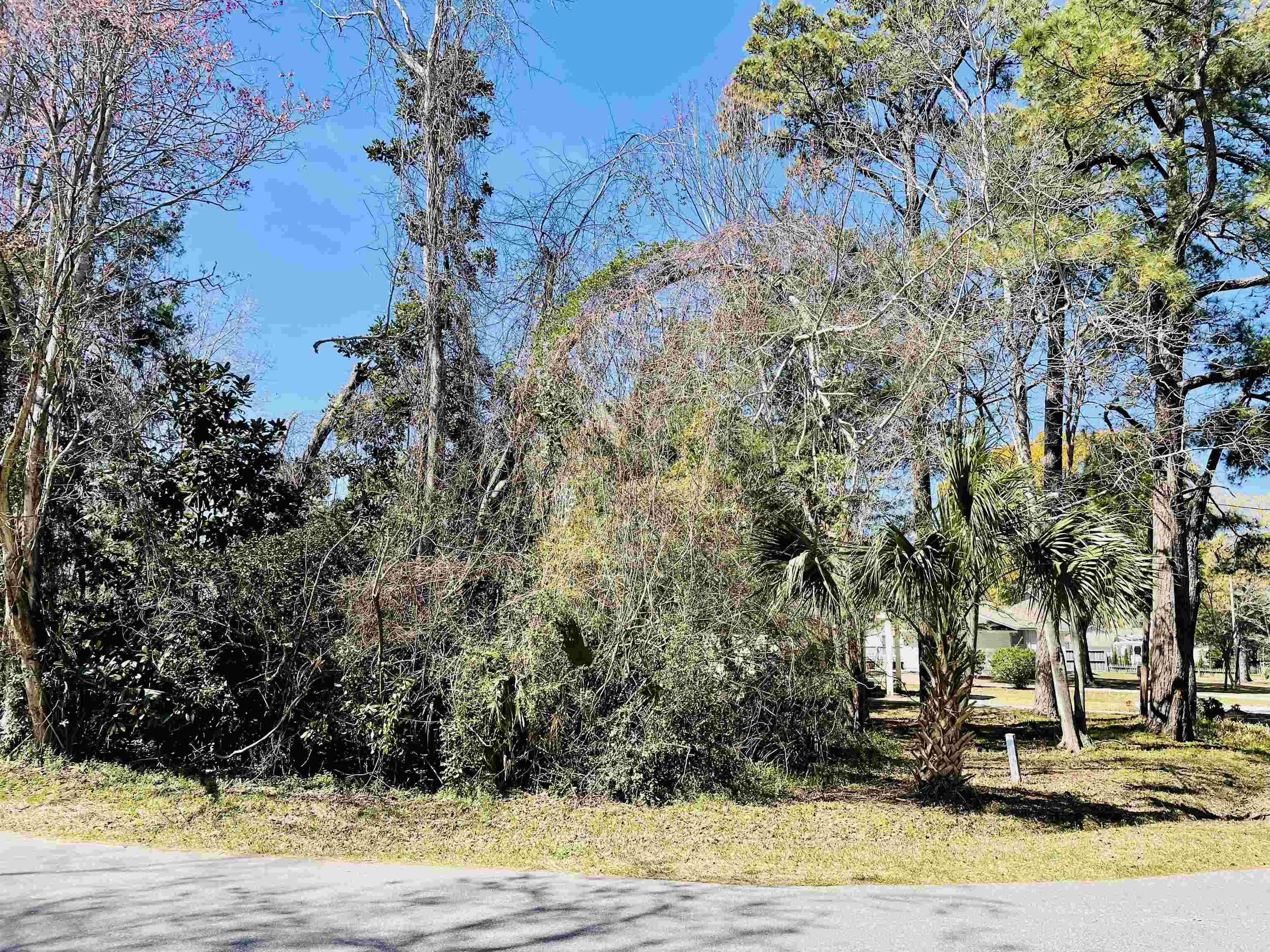 511 7th Avenue North Surfside Beach, SC 29575 - Photo 12 of 25