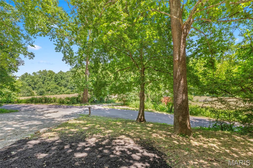 14355 Charter Church Road De Soto, MO 63020 - Photo 9 of 37