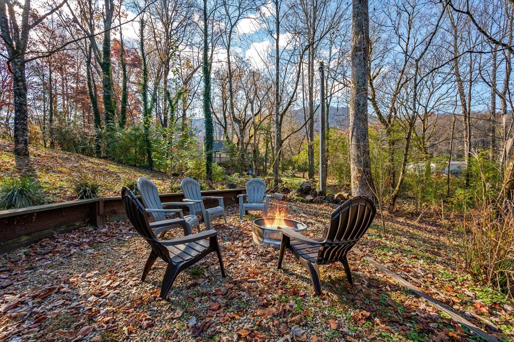 861 Dry Valley Road Townsend, TN 37882 - Photo 39 of 42 Gallery Image 39