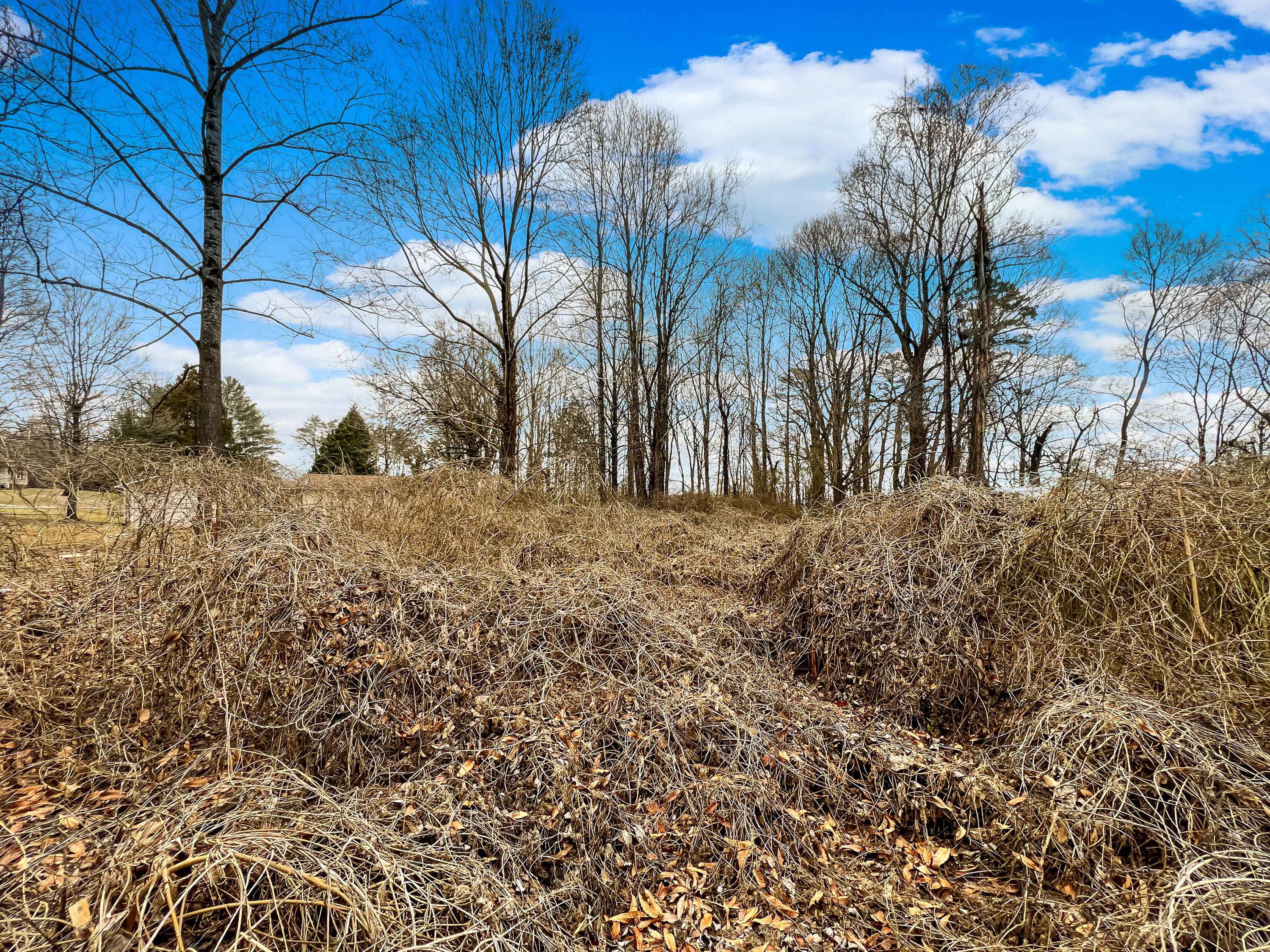 325 Oak Street Spring City, TN 37381 - Photo 2 of 4 220b80b012a6d26d069fe84b7efce4deda935e4f