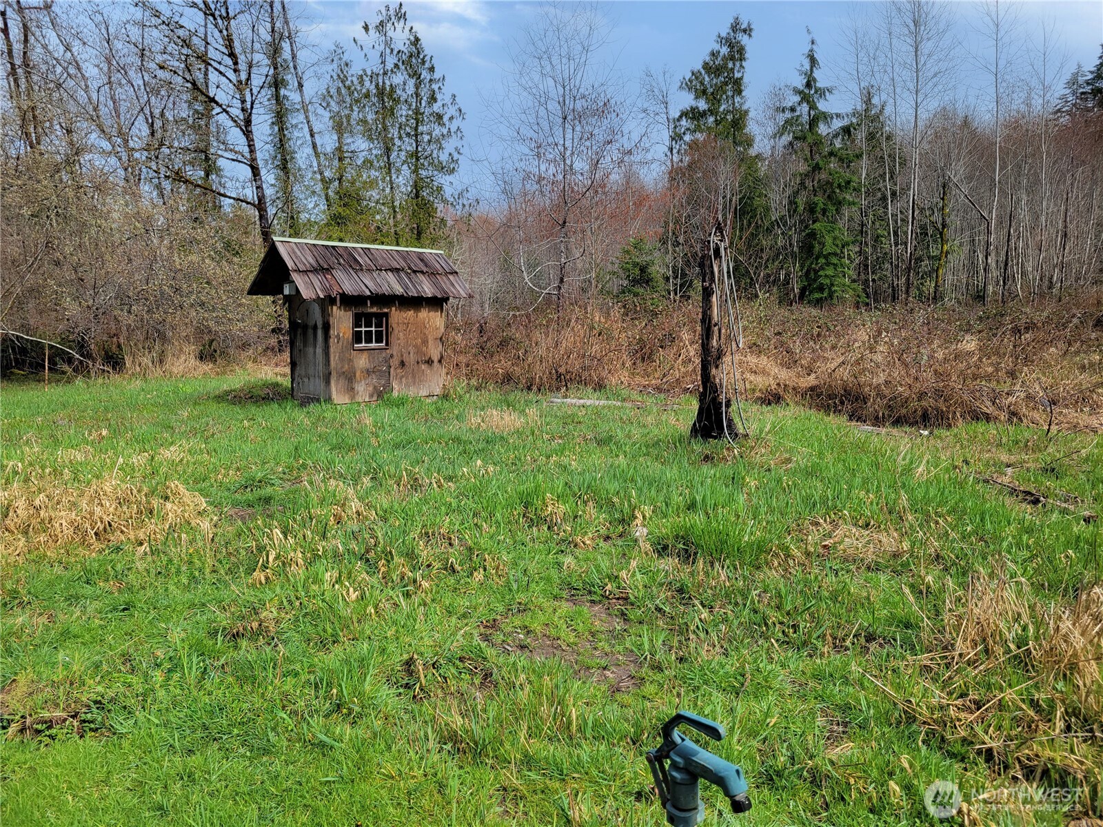 1840 West Deegan Road West Shelton, WA 98584 - Photo 13 of 24 a view of a backyard with a garden