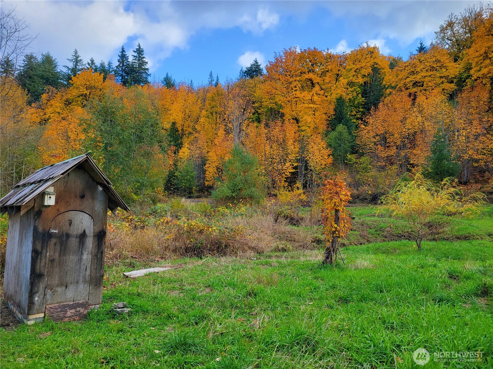 1840 West Deegan Road West Shelton, WA 98584 - Photo 3 of 24 a view of a back yard