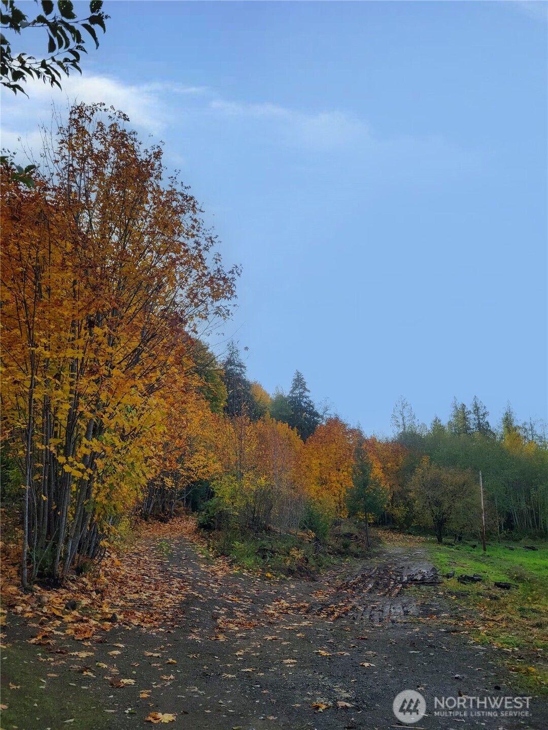 1840 West Deegan Road West Shelton, WA 98584 - Photo 5 of 24 a view of a field with a tree in background