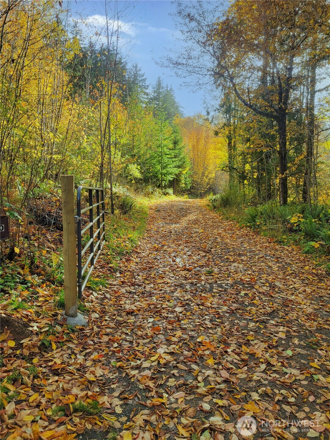 1840 West Deegan Road West Shelton, WA 98584 - Photo 8 of 24 a view of a yard with trees