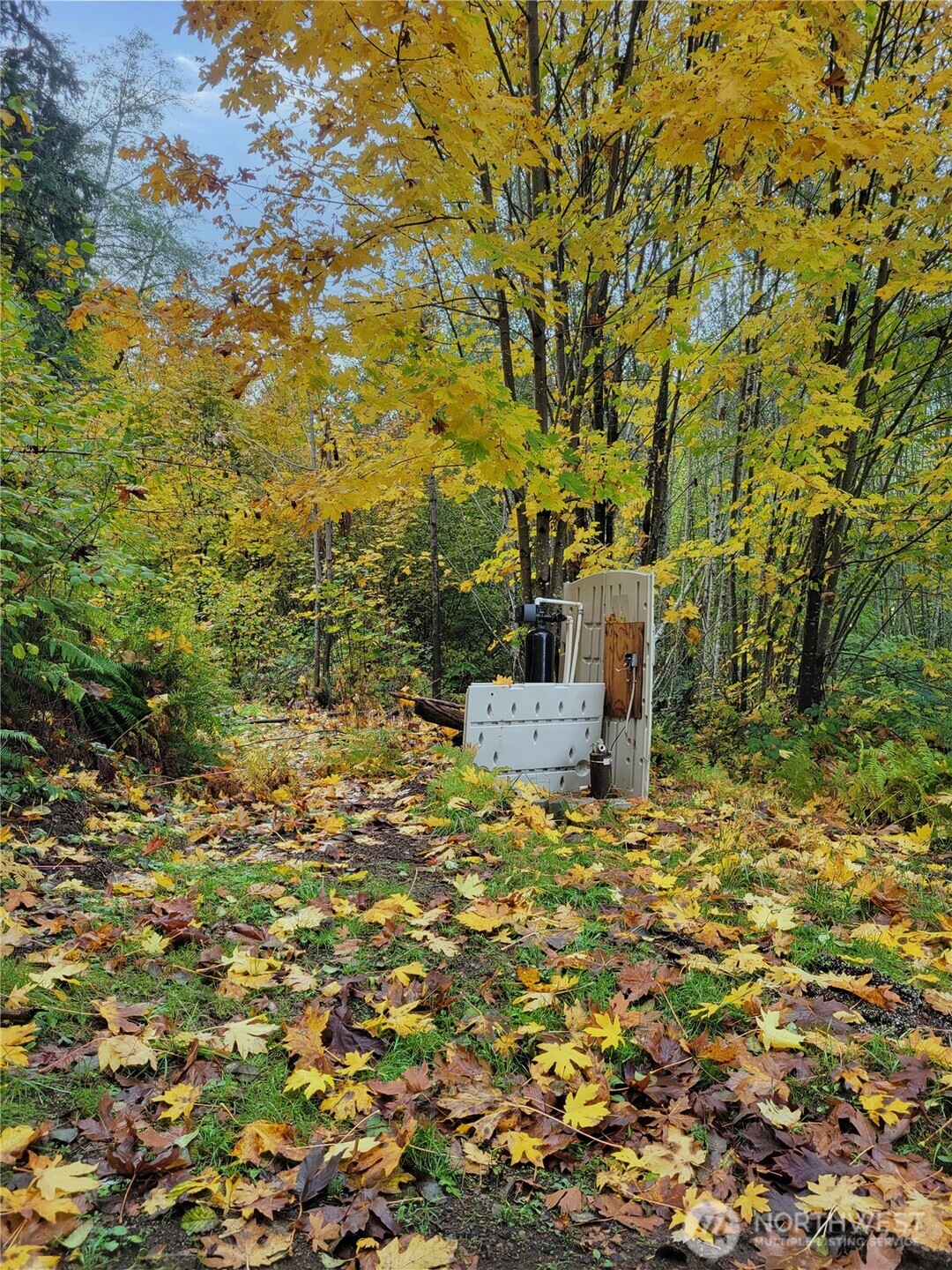 1840 West Deegan Road West Shelton, WA 98584 - Photo 10 of 24 a view of a house with a tree