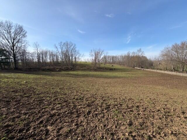 540 Flag Dale Road South Junction City, OH 43748 - Photo 35 of 48 Fenced pasture