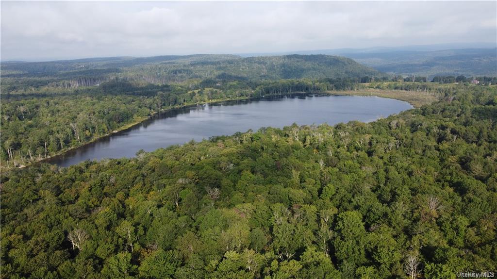 Anderson Road Parksville, NY 12768 - Photo 2 of 13 Bird's eye view with a water view