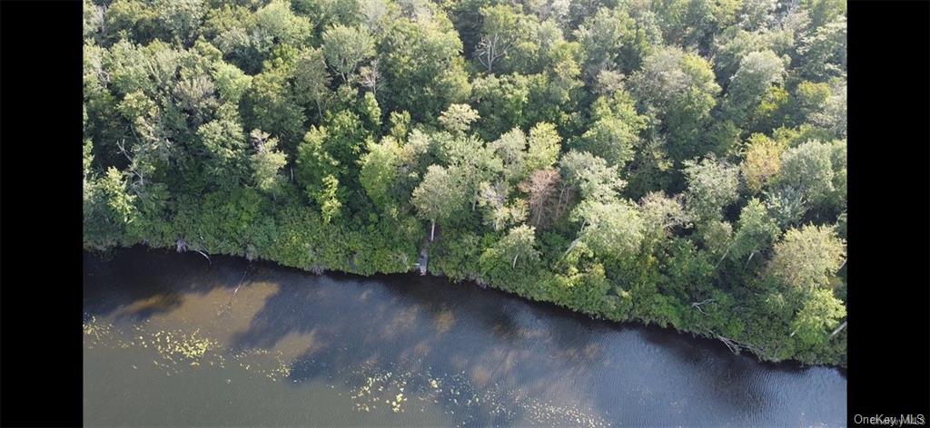Anderson Road Parksville, NY 12768 - Photo 3 of 13 Aerial view with a water view