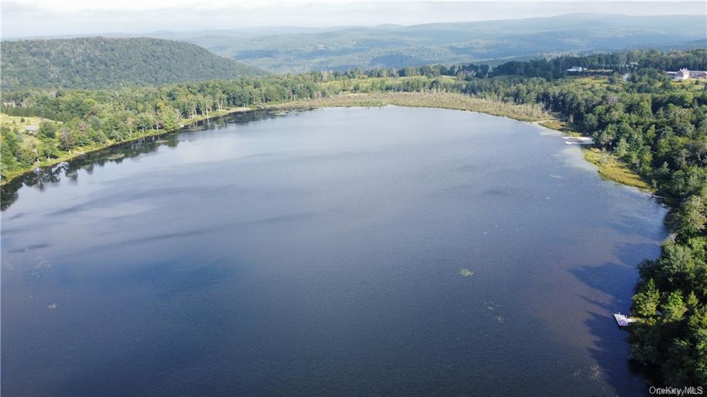 Anderson Road Parksville, NY 12768 - Photo 4 of 13 Aerial view featuring a water and mountain view