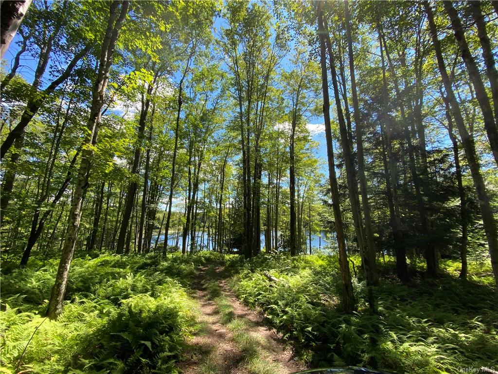 Anderson Road Parksville, NY 12768 - Photo 6 of 13 View of nature featuring a water view