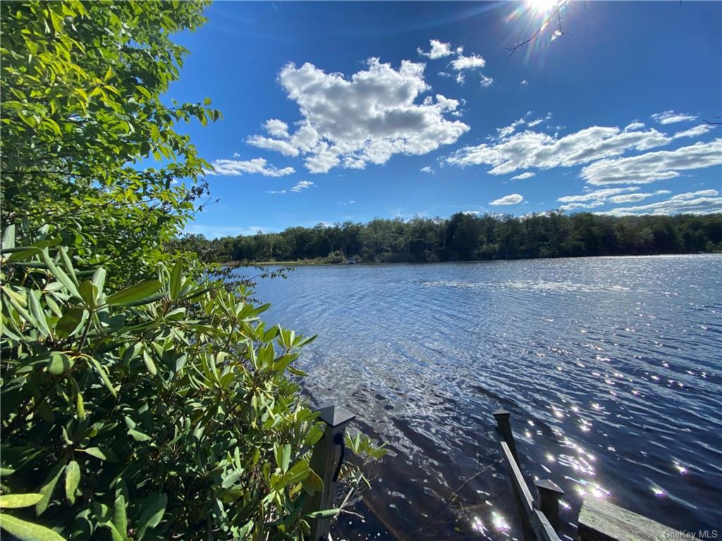 Anderson Road Parksville, NY 12768 - Photo 8 of 13 Water view