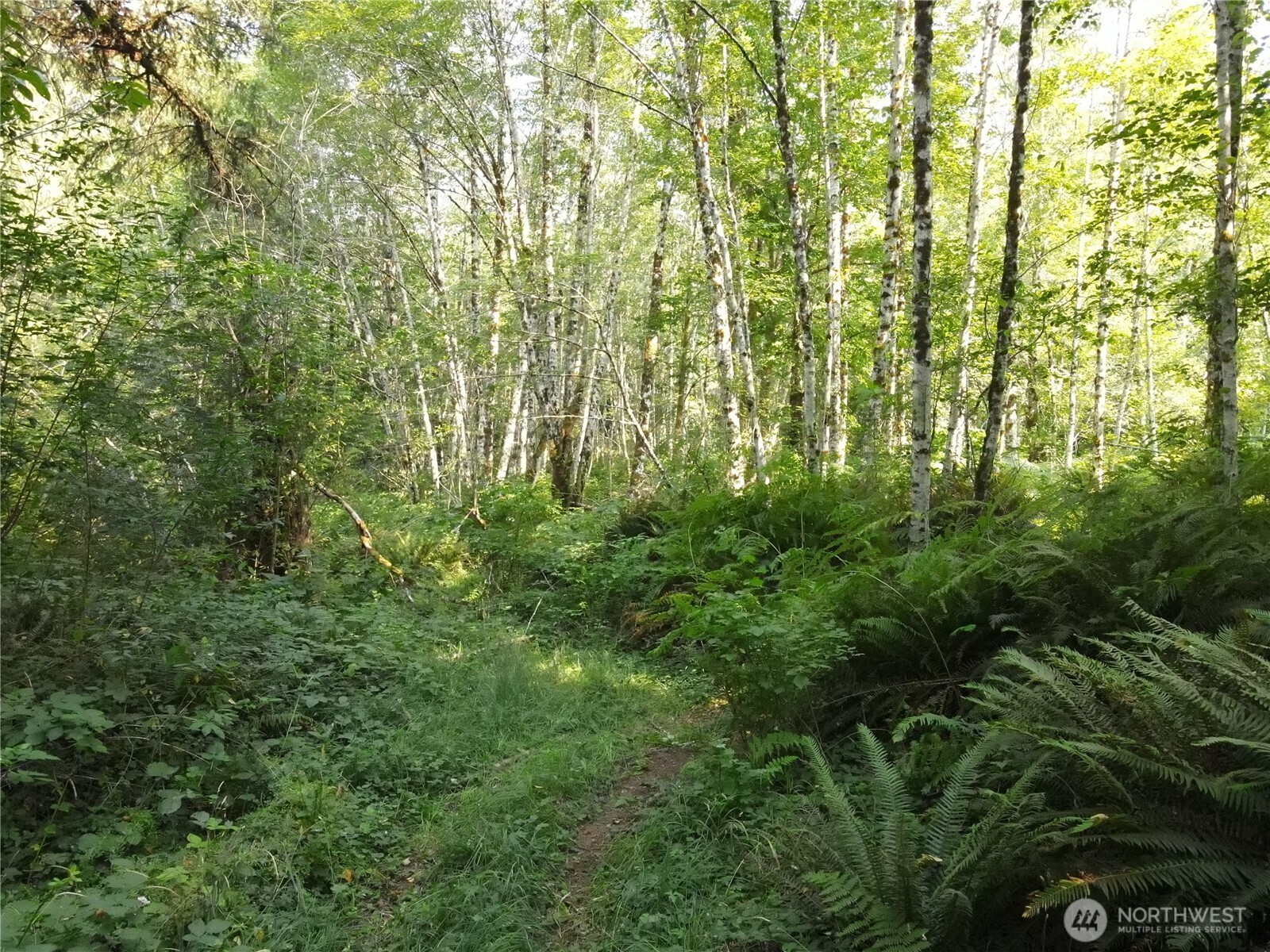 0 West Gallagher Road Shelton, WA 98584 - Photo 2 of 4 Gallery Image 2