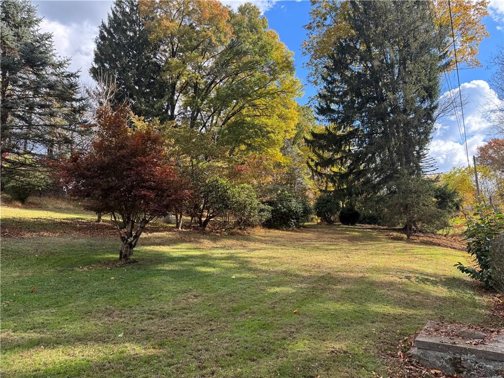 31 Orr Road West Newton, PA 15089 - Photo 30 of 48 a view of a yard with a tree