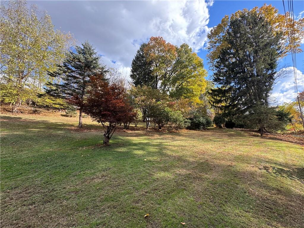 31 Orr Road West Newton, PA 15089 - Photo 31 of 48 a view of yard with trees