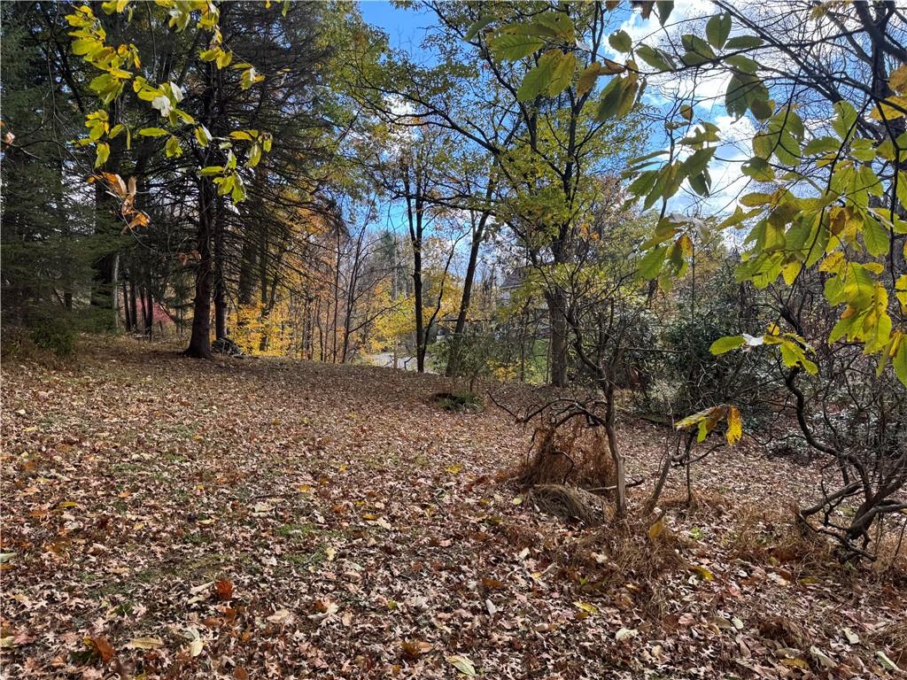 31 Orr Road West Newton, PA 15089 - Photo 35 of 48 a backyard of a house with lots of green space