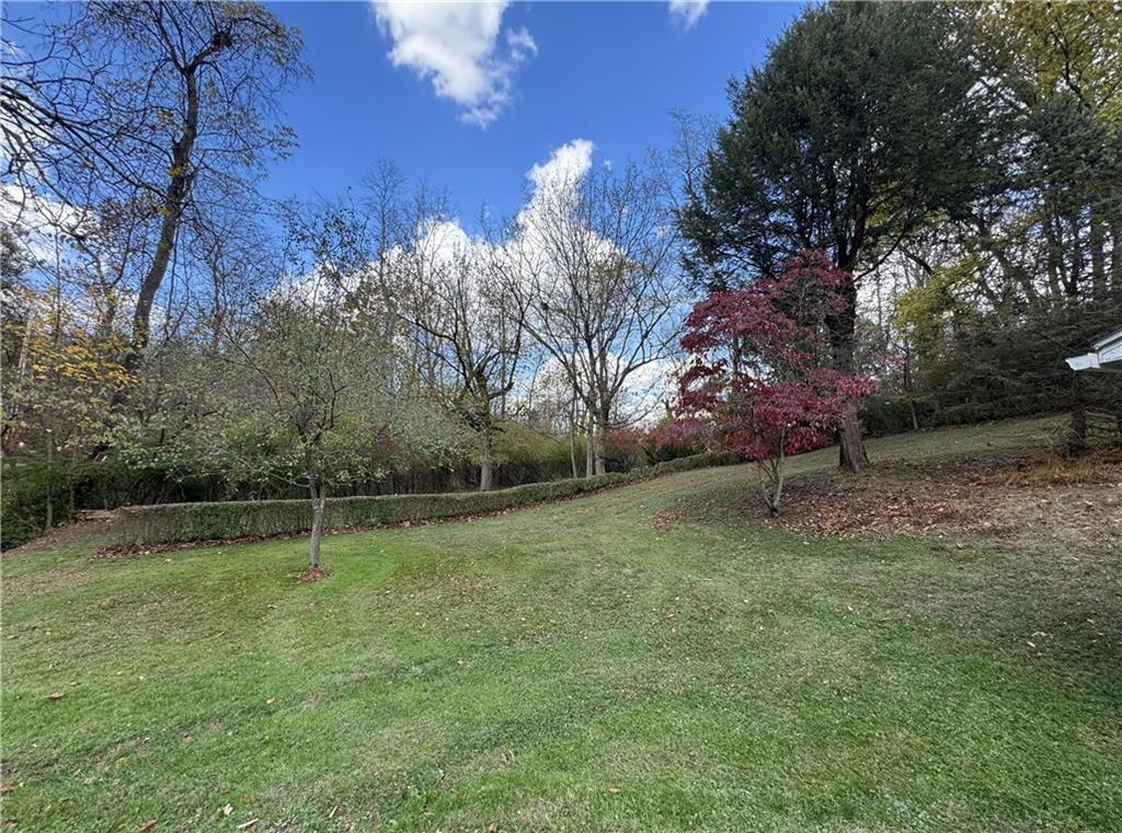 31 Orr Road West Newton, PA 15089 - Photo 44 of 48 a backyard of a house with lots of green space