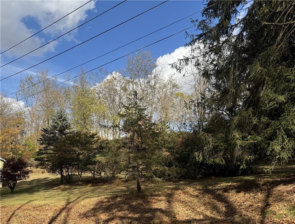 31 Orr Road West Newton, PA 15089 - Photo 48 of 48 a view of a yard with large trees