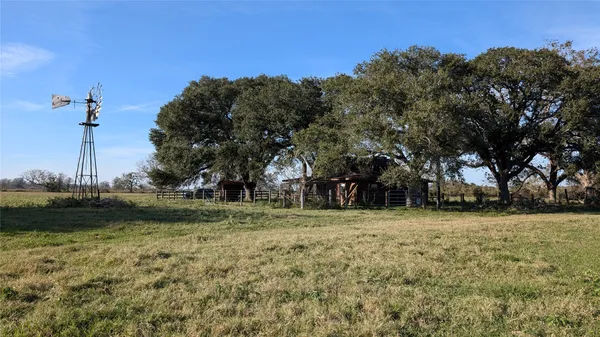 a view of a dry yard with trees