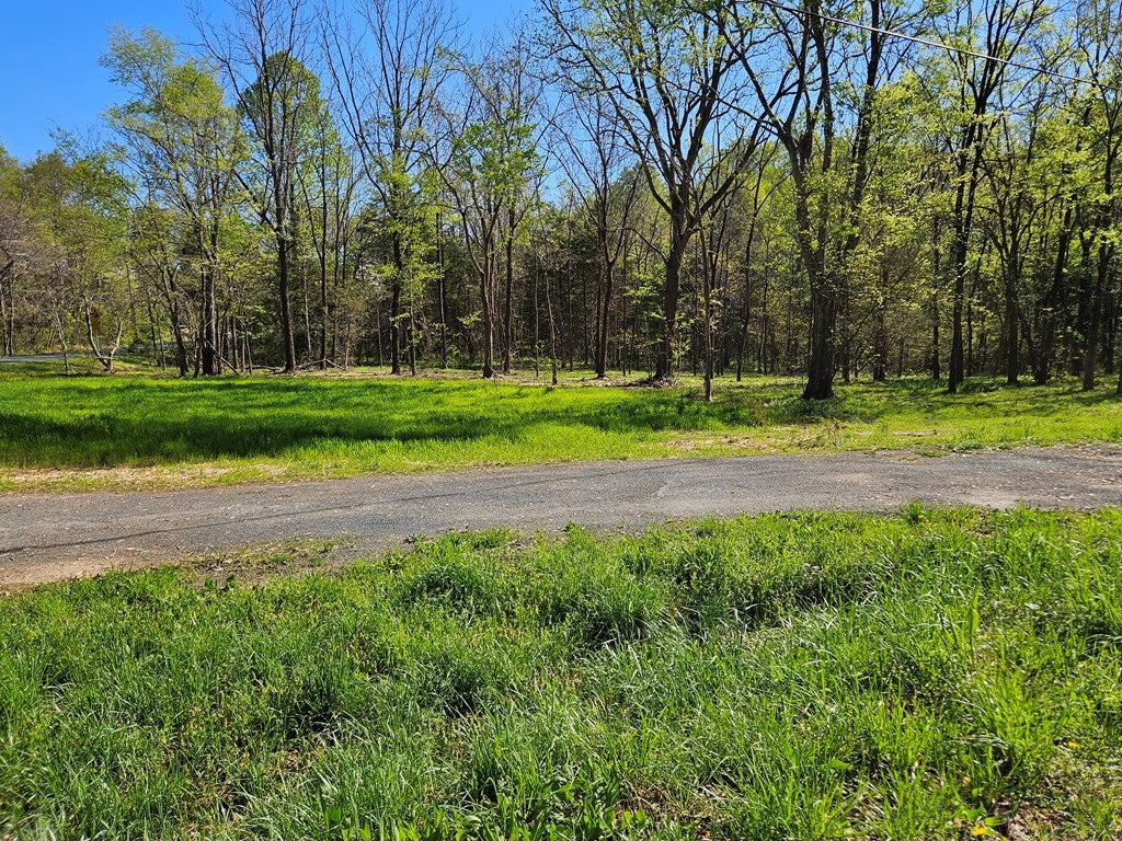 Physic Spring Dillwyn, VA 23936 - Photo 5 of 11 Gallery Image 5