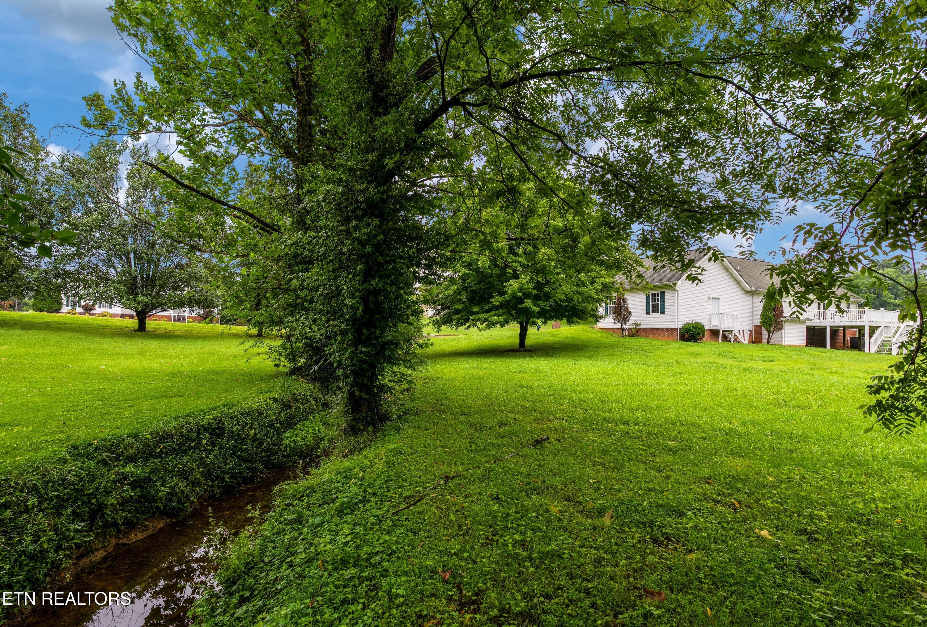 190 Walnut Grove Road Greeneville, TN 37743 - Photo 4 of 34 4