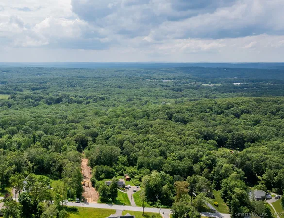 an aerial view of houses covered in trees