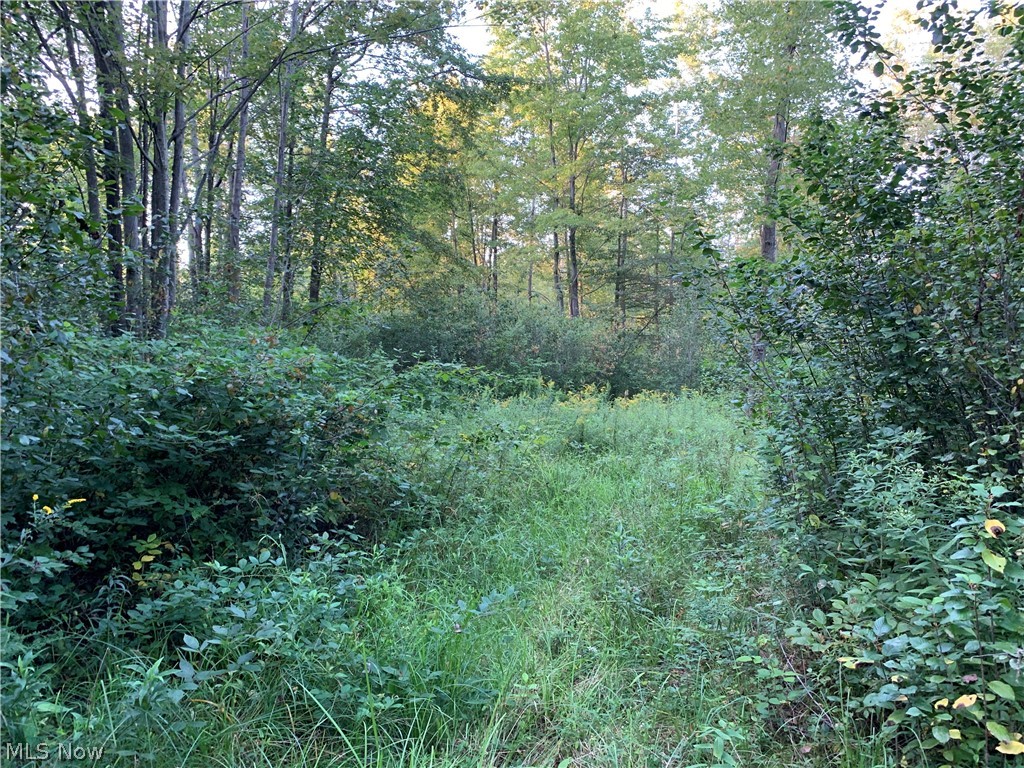 Arthur Road Jefferson, OH 44047 - Photo 7 of 26