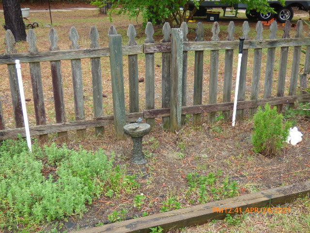 543 Sawyer Road Monetta, SC 29105 - Photo 9 of 13