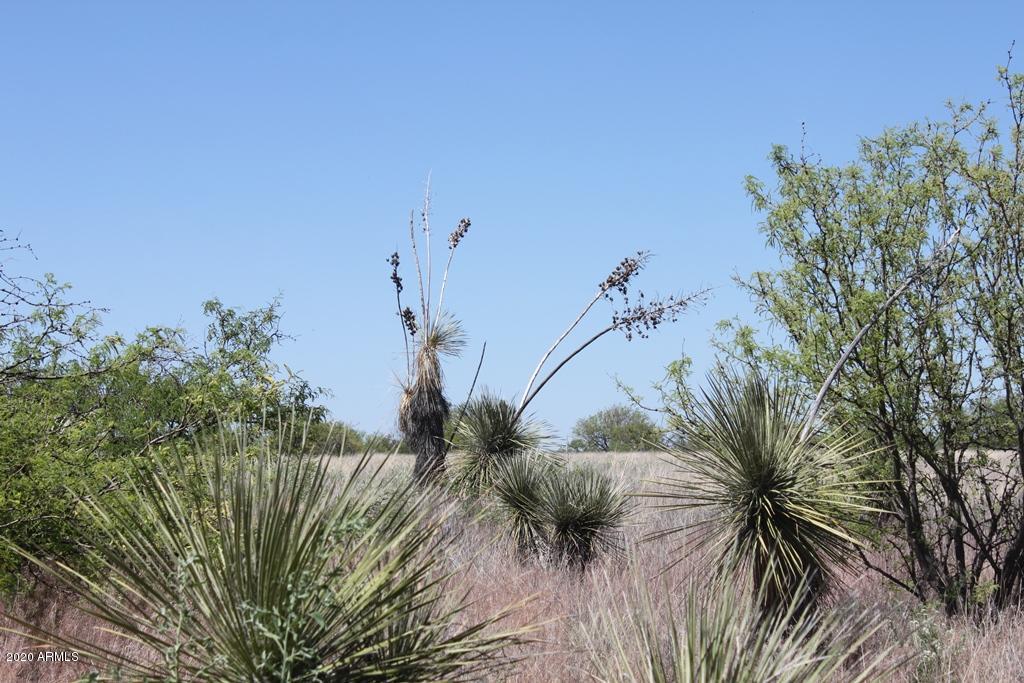 21 East Lane Ranch Road, Unit 12 Hereford, AZ 85615 - Photo 11 of 12 IMG_4777