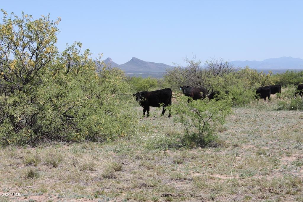 21 East Lane Ranch Road, Unit 12 Hereford, AZ 85615 - Photo 12 of 12 IMG_4775