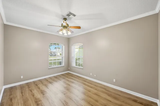a living room with furniture potted plant and a window