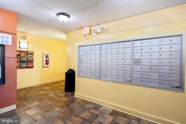 a view of a park with a tree