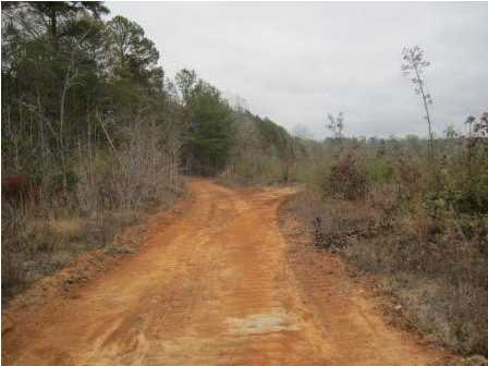 0 Andrew Milling Road Union, MS 39327 - Photo 2 of 10 Photo 2