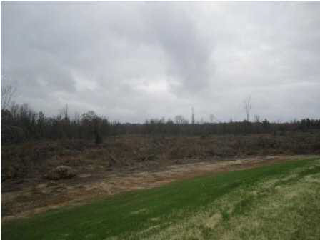 0 Andrew Milling Road Union, MS 39327 - Photo 4 of 10 Photo 4