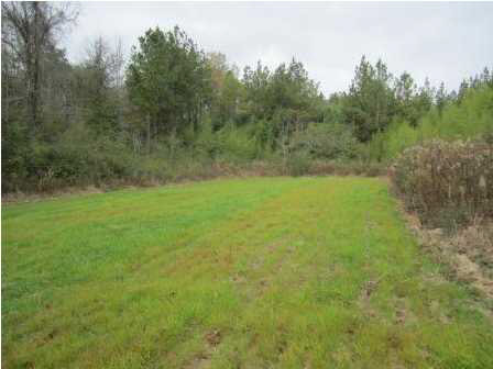 0 Andrew Milling Road Union, MS 39327 - Photo 5 of 10 Photo 5