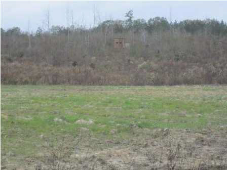 0 Andrew Milling Road Union, MS 39327 - Photo 7 of 10 Photo 7