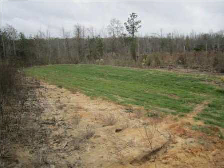 0 Andrew Milling Road Union, MS 39327 - Photo 8 of 10 Photo 8
