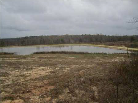 0 Andrew Milling Road Union, MS 39327 - Photo 10 of 10 Photo 10