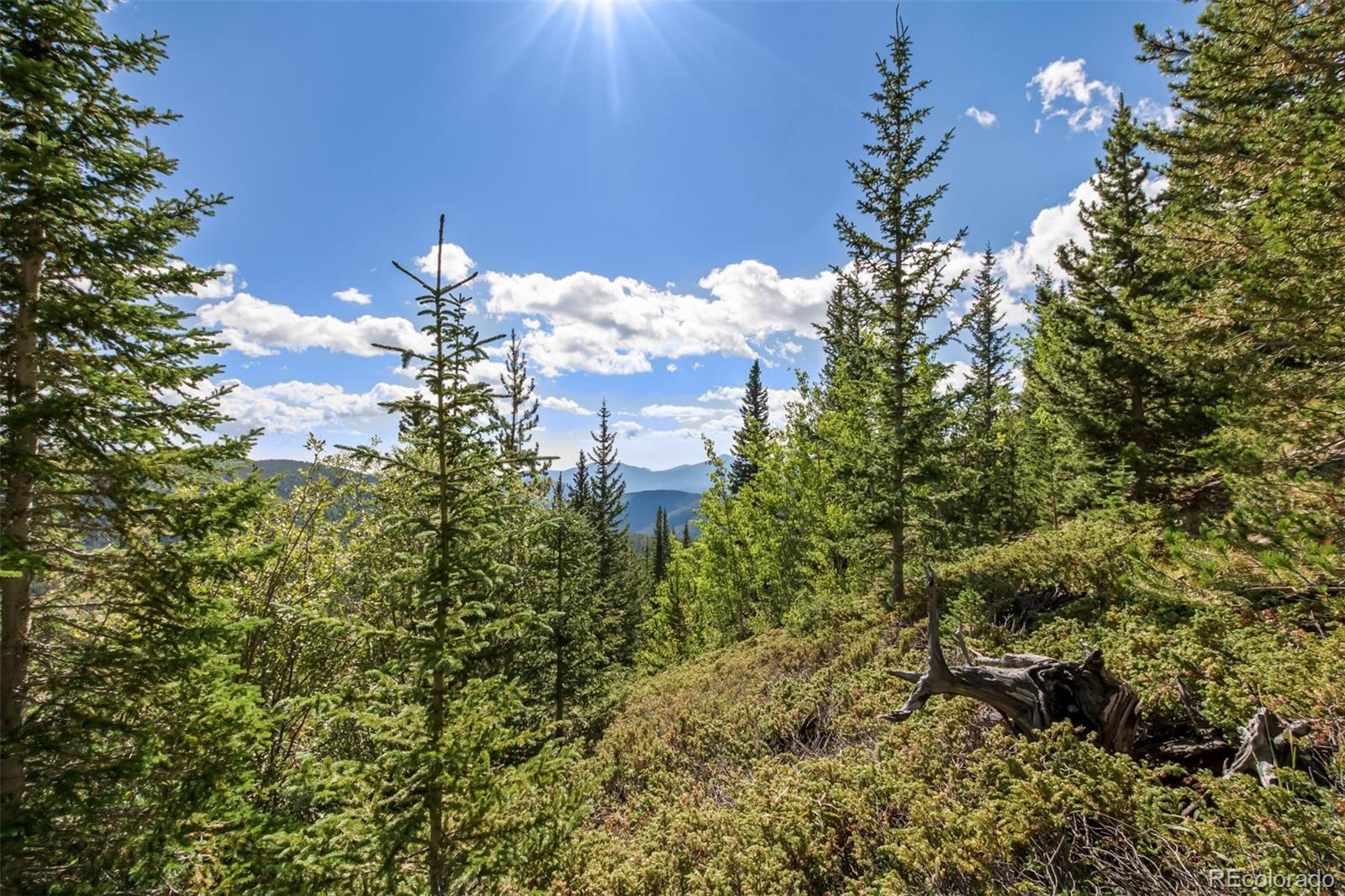 Lot 508 Hilltop Road Idaho Springs, CO 80452 - Photo 4 of 26 Gallery Image 4