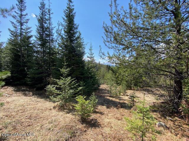 Nna Upper Gold Creek Road Sandpoint, ID 83864 - Photo 25 of 25 29