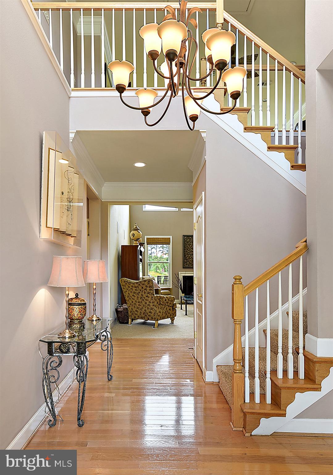 10210 Ruffian Lane, Unit GLEN Berlin, MD 21811 - Photo 4 of 50 Gallery Image 4