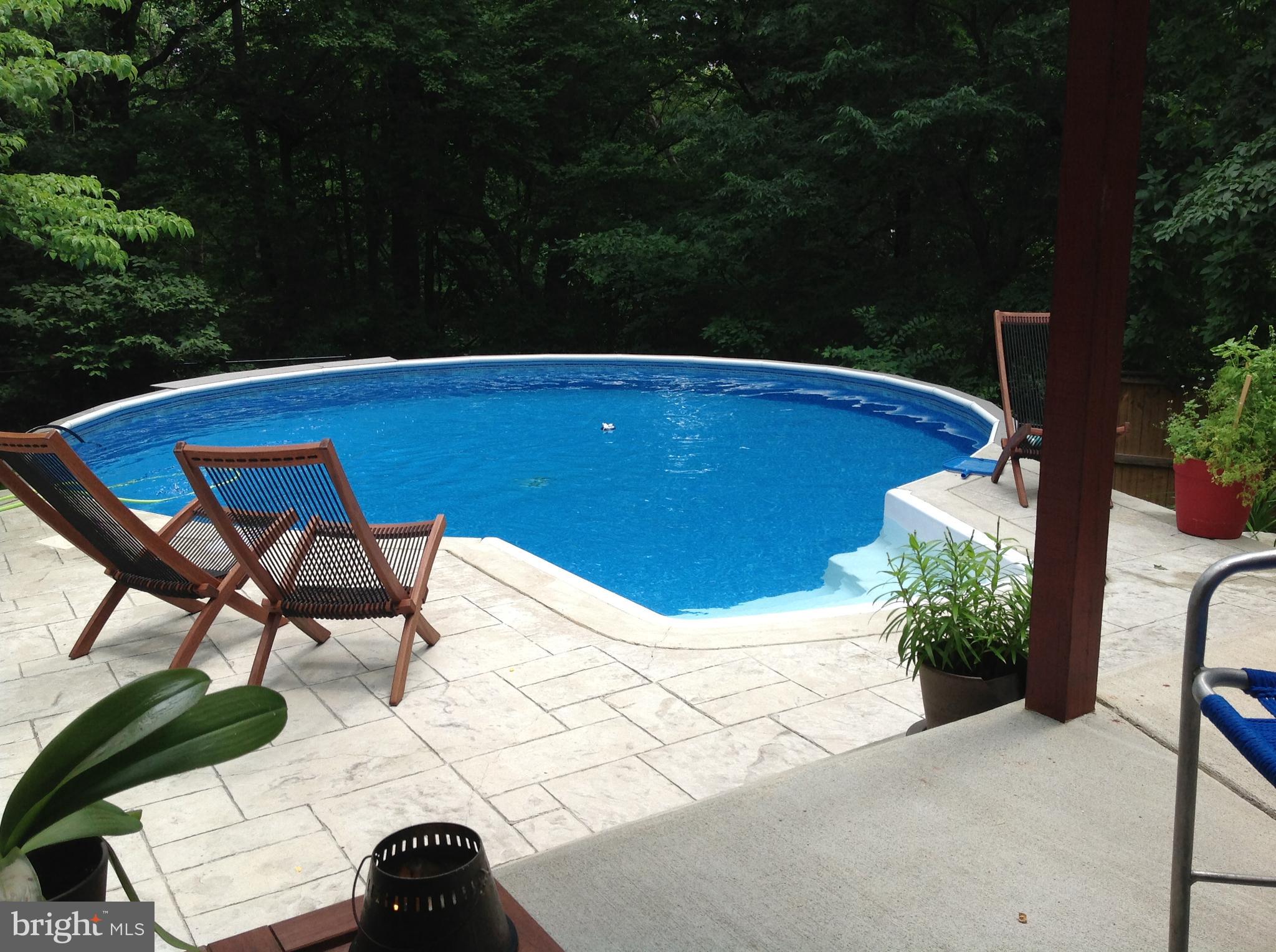 4301 37th Road North Arlington, VA 22207 - Photo 8 of 8 21' Round Pool, Chlorine, 5'6" Deep in Center