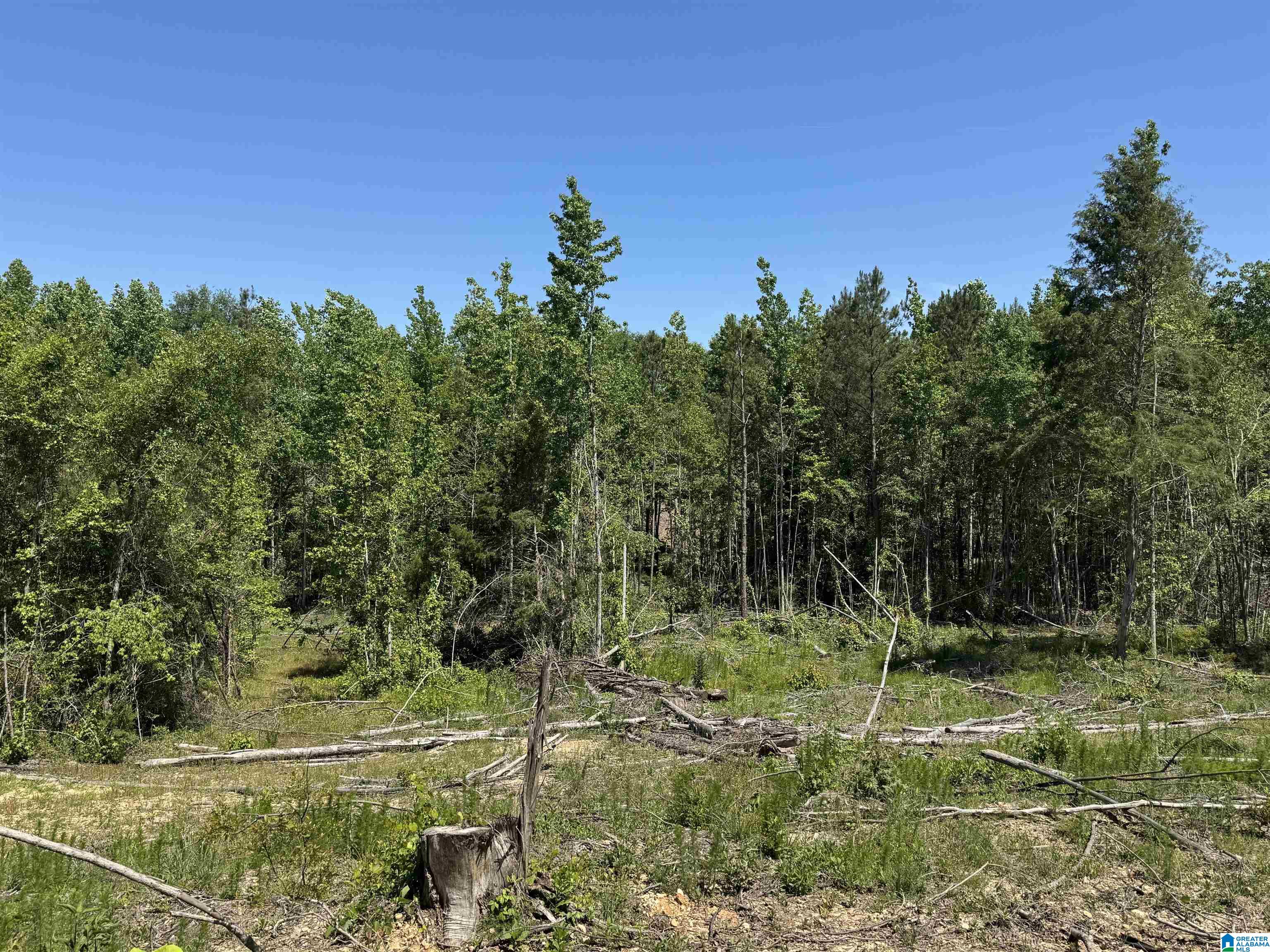 Active Road, Unit 3 Lawley, AL 36793 - Photo 8 of 20