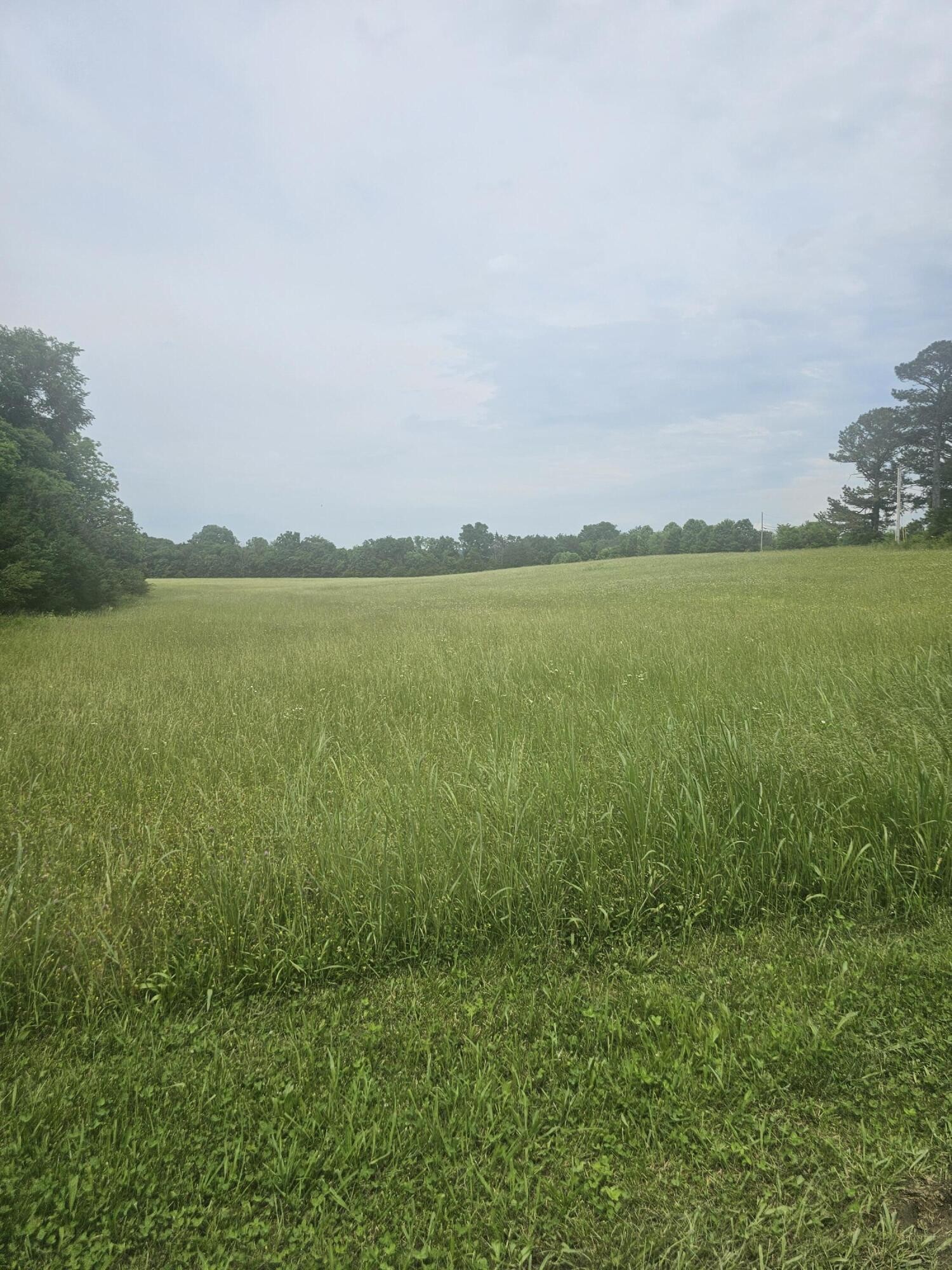 a view of an ocean and mountain