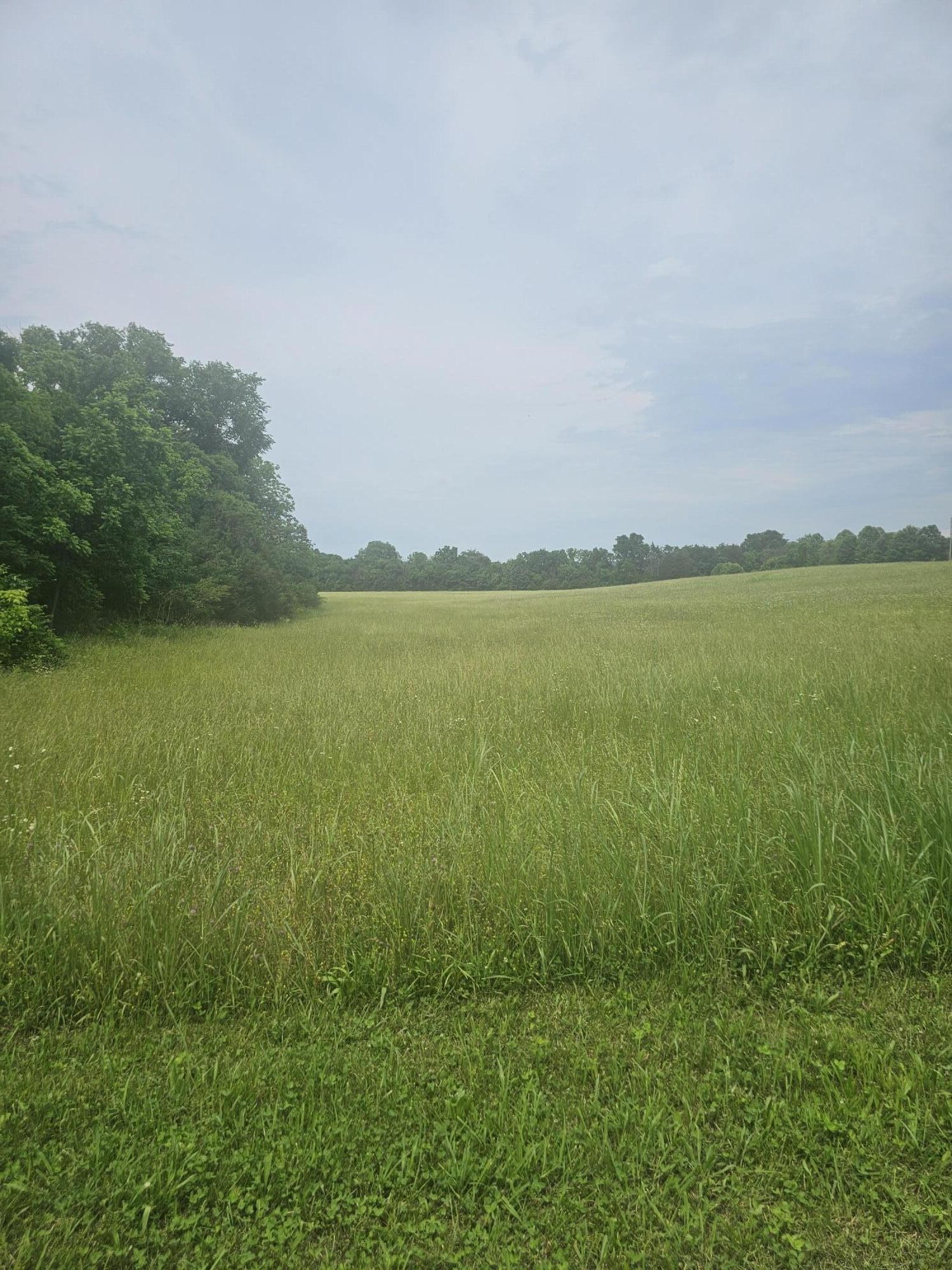0 State Highway Georgetown, TN 37336 - Photo 2 of 2 a view of an ocean and beach