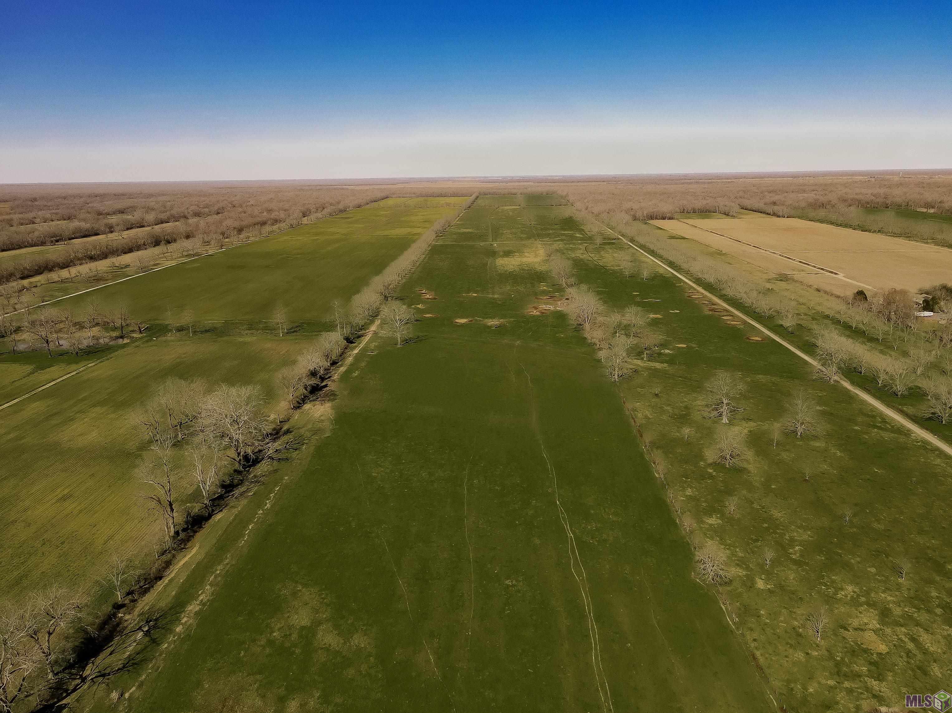 9287 False River Road New Roads, LA 70760 - Photo 6 of 12